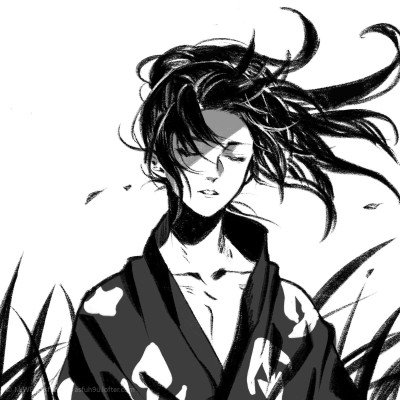 张雪宣布：将捐款韩红基金